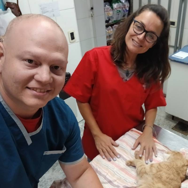 Área de internación de mascotas