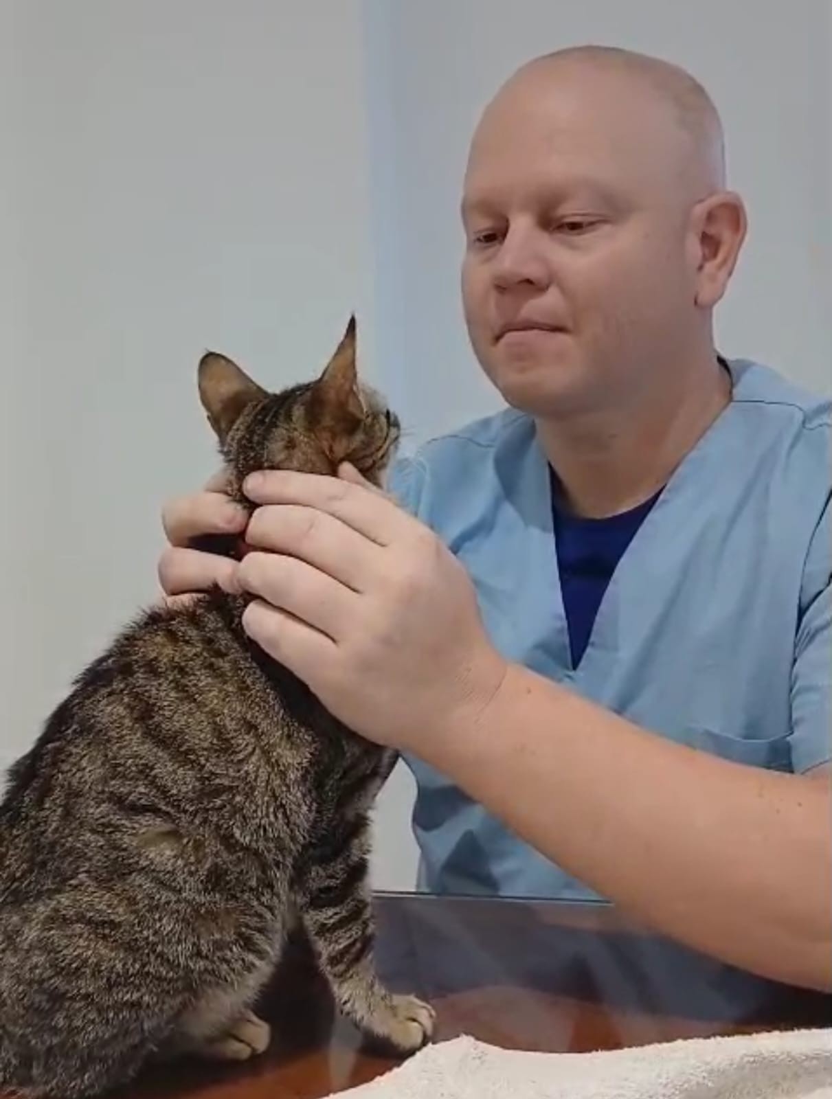 Equipo de veterinarios Green Vet